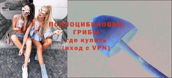 эйфоретик Алексин