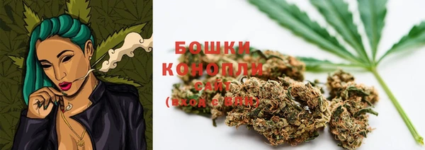 apvp Алзамай