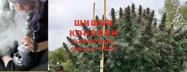 шишки Алексеевка