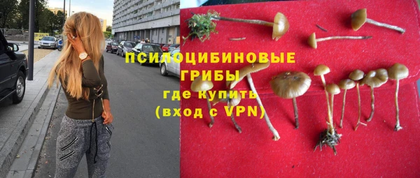 apvp Алзамай