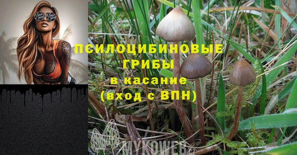 apvp Алзамай