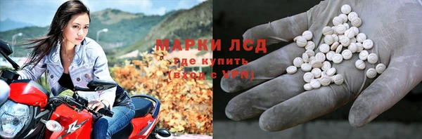 apvp Алзамай